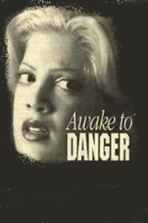 Profilový obrázek - Awake to Danger
