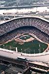 Profilový obrázek - Matt McGough - My first Day as a Yankee Bat Boy