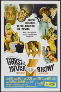 Profilový obrázek - The Ghost in the Invisible Bikini
