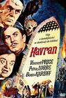 Havran (1963)
