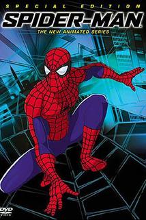 Profilový obrázek - Spider-Man