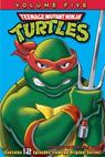 Teenage Mutant Ninja Turtles (2003)