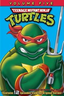 Profilový obrázek - Teenage Mutant Ninja Turtles
