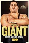 Profilový obrázek - Andre the Giant