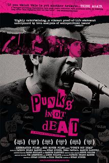 Profilový obrázek - Punk's Not Dead