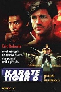 Profilový obrázek - Karate tiger 6: Nejlepší z nejlepších 2