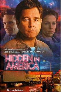 Profilový obrázek - Hidden in America