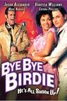 Bye Bye Birdie (1995)