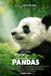 Profilový obrázek - Pandas