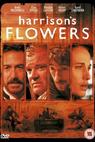 Harrisonovy květy (2000)