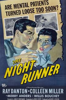 Profilový obrázek - The Night Runner