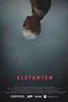 Profilový obrázek - Elefanten