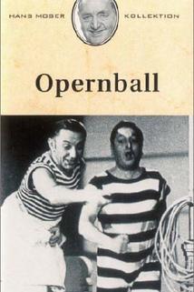 Profilový obrázek - Opernball