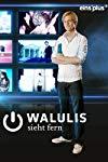 Profilový obrázek - Walulis sieht fern (2011-2014)