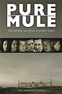 Profilový obrázek - Pure Mule