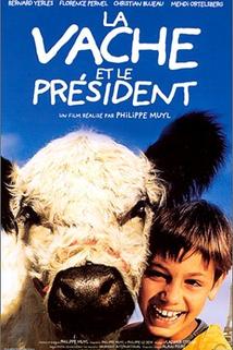 Kráva a prezident