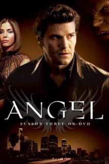 Profilový obrázek - 'Angel': Season 3 Overview