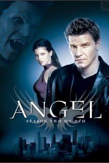 Profilový obrázek - 'Angel': Season 2 Overview