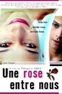 Profilový obrázek - Une rose entre nous