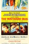 The Wayward Bus 