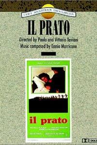 Profilový obrázek - Prato, Il