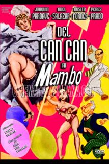 Profilový obrázek - Del can-can al mambo