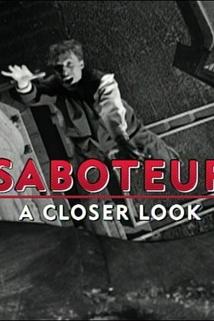 Profilový obrázek - Saboteur: A Closer Look