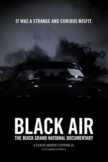 Profilový obrázek - Black Air: The Buick Grand National Documentary