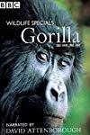 Gorilla Revisited with David Attenborough