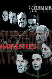 Profilový obrázek - The Harvesters