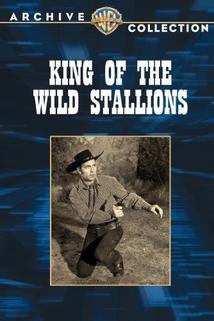 Profilový obrázek - King of the Wild Stallions