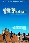 Kde sní zelení mravenci (1984)