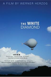 Profilový obrázek - The White Diamond