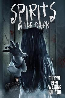 Profilový obrázek - Spirits in the Dark