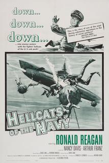 Profilový obrázek - Hellcats of the Navy