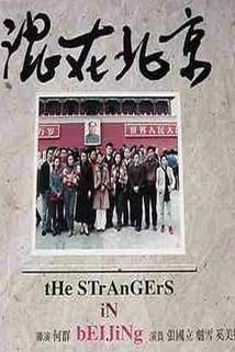 Profilový obrázek - The Strangers in Beijing