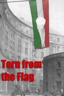 Profilový obrázek - Torn from the Flag