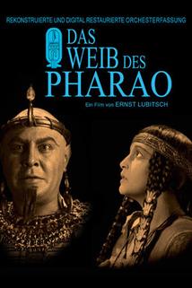 Profilový obrázek - Weib des Pharao, Das