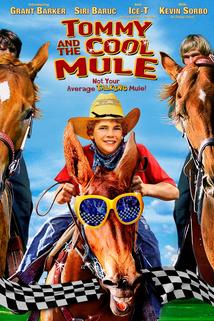 Mule Boy