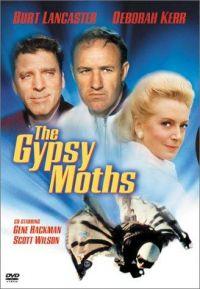 Profilový obrázek - The Gypsy Moths