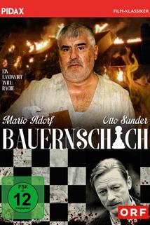 Profilový obrázek - Bauernschach