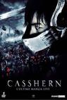 Casshern: První samuraj nového věku (2004)