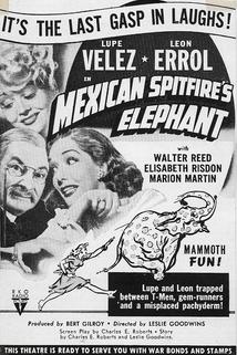 Mexican Spitfire's Elephant