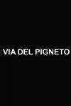 Profilový obrázek - Via Del Pigneto