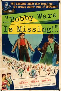 Profilový obrázek - Bobby Ware Is Missing