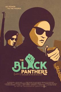 Profilový obrázek - The Black Panthers: Vanguard of the Revolution