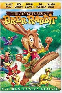 Profilový obrázek - The Adventures of Brer Rabbit