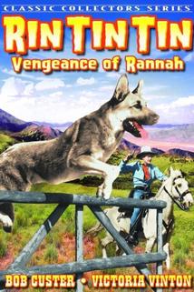 Profilový obrázek - Vengeance of Rannah