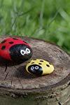 Profilový obrázek - Ladybug Rocks