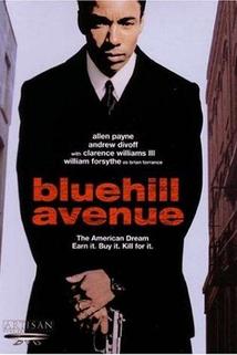Profilový obrázek - Blue Hill Avenue